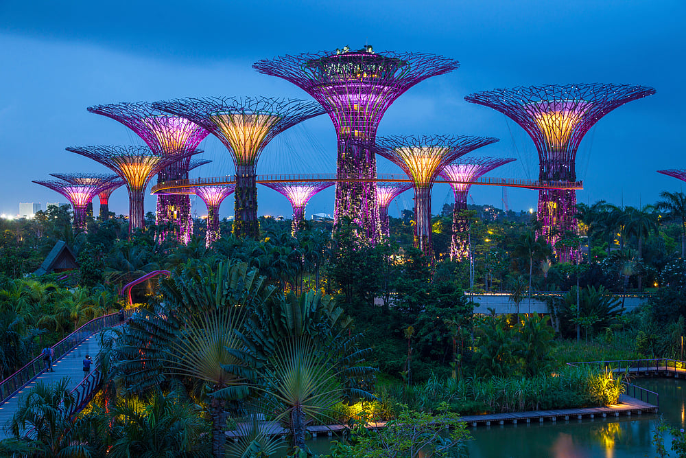 The Supertree Grove gets lit up in the evening